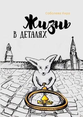 Кира Соболева Жизнь в деталях обложка книги