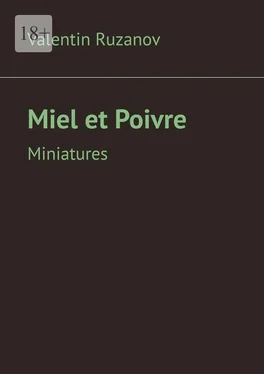 Valentin Ruzanov Miel et Poivre. Miniatures обложка книги