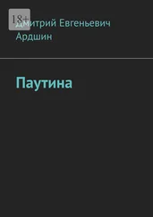 Дмитрий Ардшин - Паутина