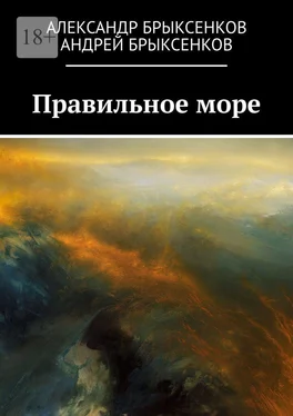 Александр Брыксенков Правильное море обложка книги