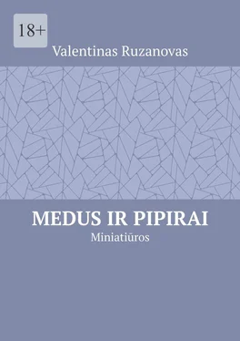 Valentinas Ruzanovas Medus ir pipirai. Miniatiūros обложка книги