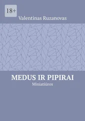 Valentinas Ruzanovas - Medus ir pipirai. Miniatiūros