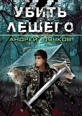 Андрей Пучков Убить лешего обложка книги
