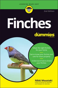 Nikki Moustaki Finches For Dummies обложка книги