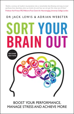 Adrian Webster Sort Your Brain Out обложка книги