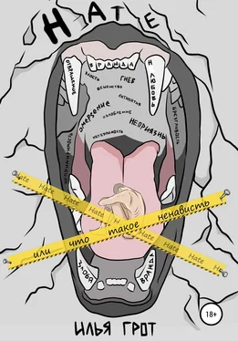 Илья Грот Hate, или Что такое ненависть обложка книги