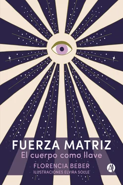 Florencia Beber Fuerza Matriz обложка книги