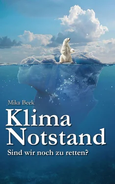 Mika Beek Klimanotstand обложка книги
