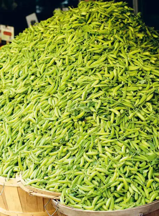 Protein Die Deutsche Gesellschaft für Ernährung empfiehlt für die tägliche - фото 6