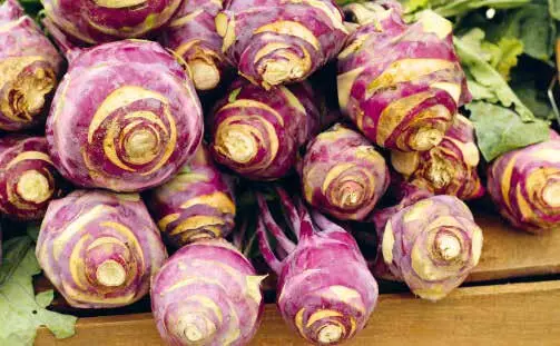 Doch tagtäglich wird es immer offenkundiger dass eine vegetarische Lebensweise - фото 9