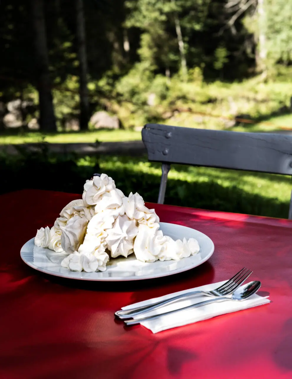 Elsbeth Hobmeier EIN KEH REN Die 50 besten Beizen in den Schweizer Alpen und im - фото 1