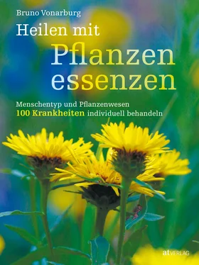 Bruno Vonarburg Heilen mit Pflanzenessenzen - eBook обложка книги