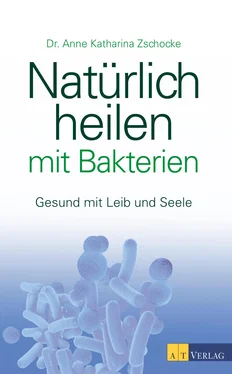 Anne Katharina Zschocke Natürlich heilen mit Bakterien - eBook обложка книги