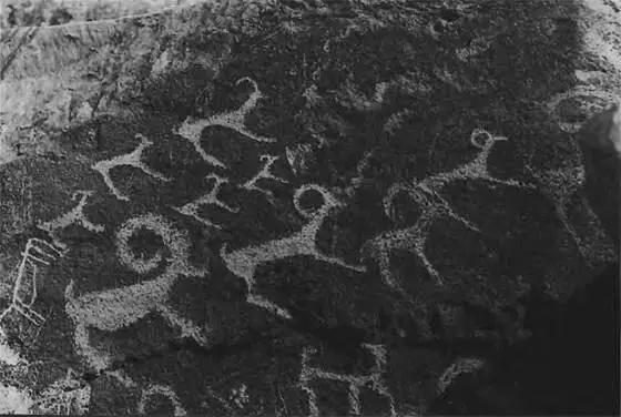 Камень с наскальными рисунками Рисунков масса и все они не такие как там - фото 6