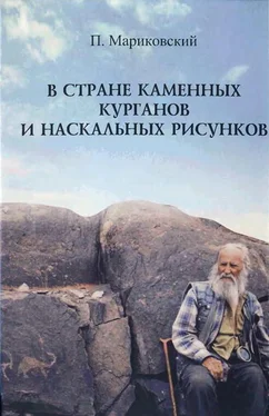 Павел Мариковский В стране каменных курганов и наскальных рисунков обложка книги