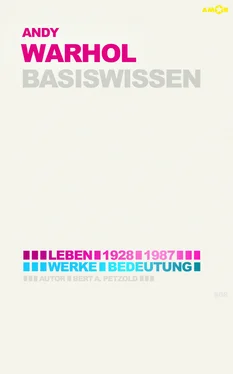 Bert Alexander Petzold Andy Warhol – Basiswissen #08 обложка книги