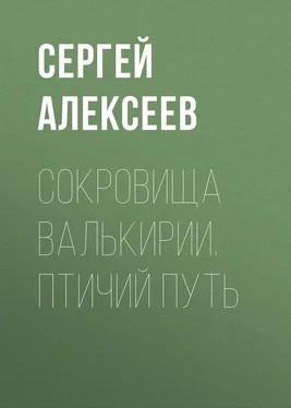 Сергей Алексеев Сокровища Валькирии. Птичий путь обложка книги