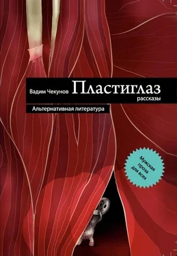 Вадим Чекунов Пластиглаз (сборник) обложка книги