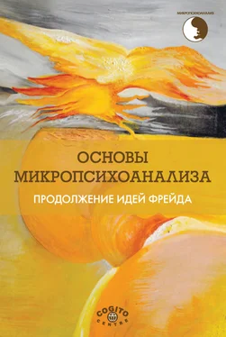 Сборник статей Основы микропсихоанализа. Продолжение идей Фрейда обложка книги