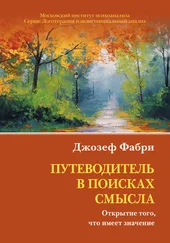 Джозеф Фабри - Путеводитель в поисках смысла. Открытие того, что имеет значение