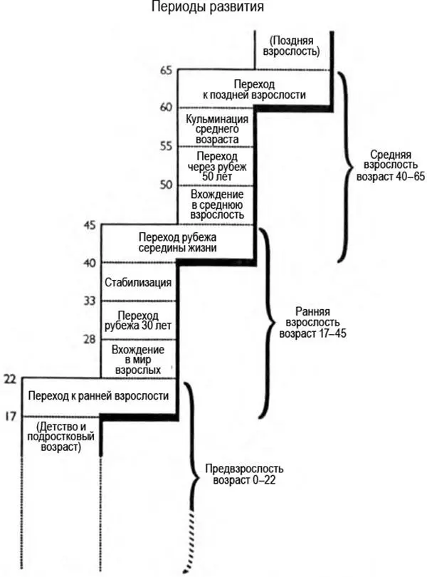 Рис 1Периоды развития в раннем и среднем зрелом возрасте Nemiroff - фото 1