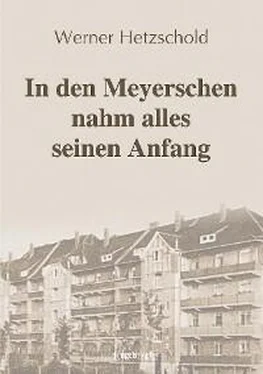 Werner Hetzschold In den Meyerschen nahm alles seinen Anfang обложка книги