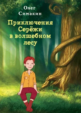 Олег Симакин Приключения Серёжи в волшебном лесу обложка книги