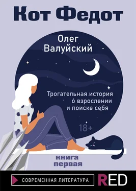 Олег Валуйский Кот Федот. Книга первая обложка книги