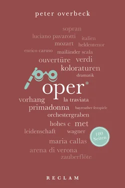 Peter Overbeck Oper. 100 Seiten обложка книги
