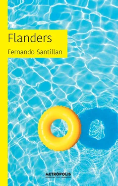 Fernando Santillan Flanders обложка книги