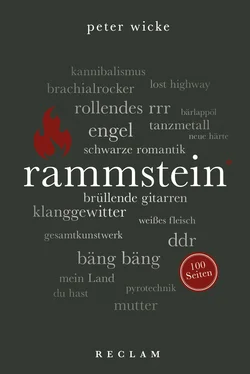 Peter Wicke Rammstein. 100 Seiten обложка книги