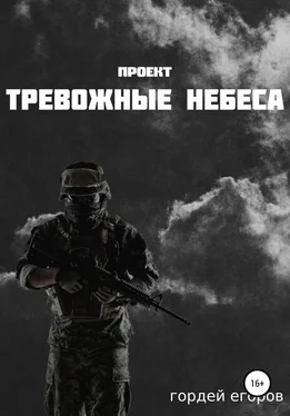 Гордей Егоров Проект «Тревожные Небеса» обложка книги