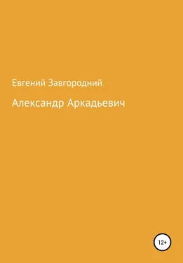 Евгений Завгородний Александр Аркадьевич обложка книги
