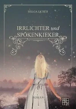 Helga Licher Irrlichter und Spöckenkieker обложка книги