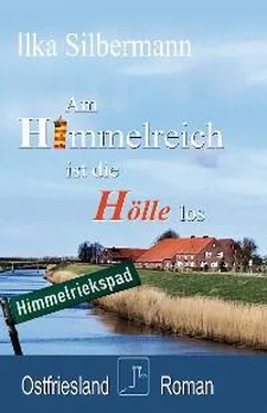 Ilka Silbermann Am Himmelreich ist die Hölle los обложка книги