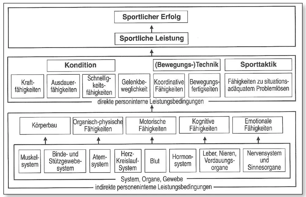 Abb 13Schema personeninterner Bedingungen sportlicher Leistungen und Erfolge - фото 7