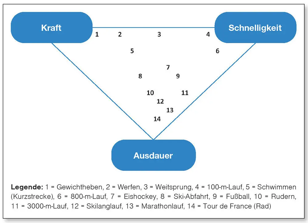 Abb 17Positionen ausgewählter Sportarten im Konditionsdreieck - фото 13