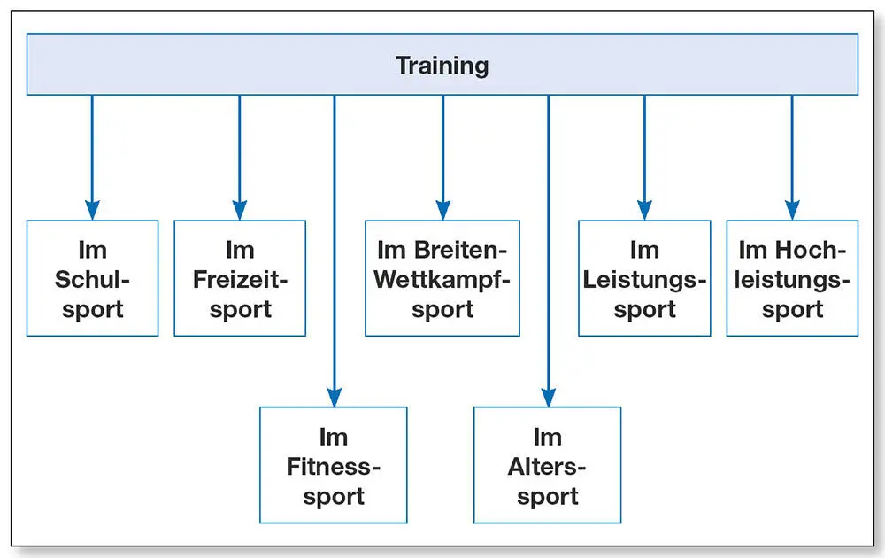 Abb 12Bereiche von Training Unabhängig von Zielsetzung und Niveau werden - фото 6