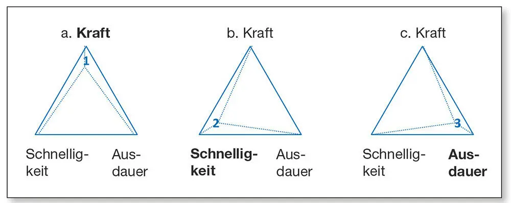 Abb 19Die sportmotorischen Fähigkeiten Kraft Schnelligkeit und Ausdauer - фото 15