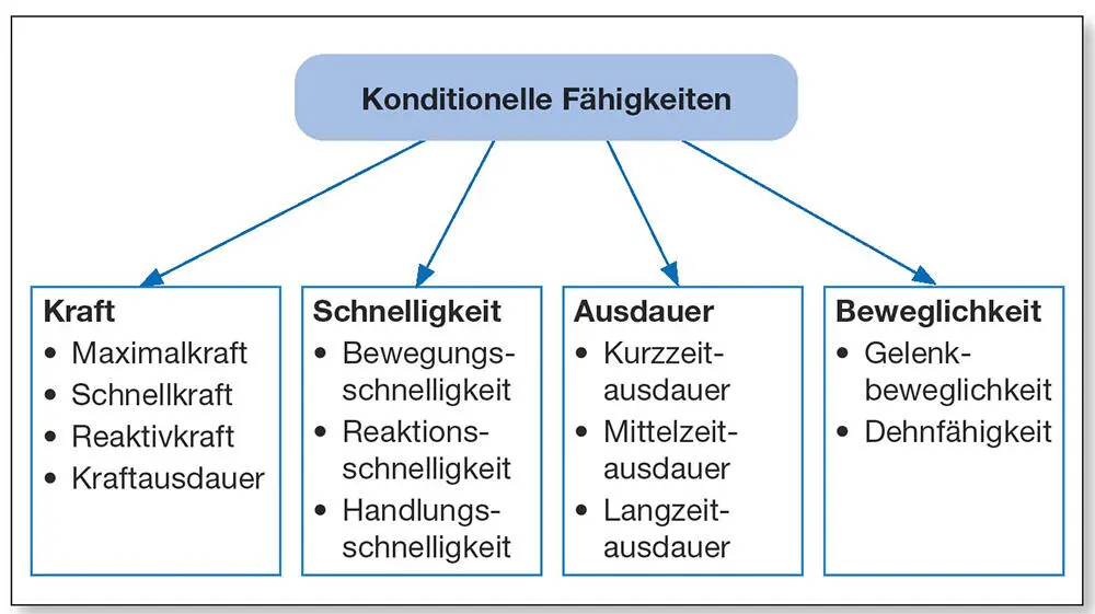 Abb 18Übersichtsmodell zu den konditionellen Fähigkeiten In ihrer Reinform - фото 14