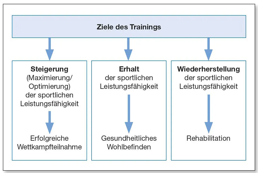 Abb 11Ziele des Trainings Zum Zielbereich der Leistungssteigerung zählt - фото 5