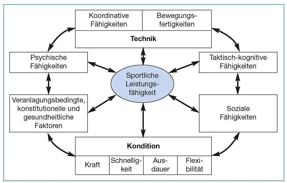 Abb 14Vereinfachtes Modell der Komponenten der sportlichen - фото 8