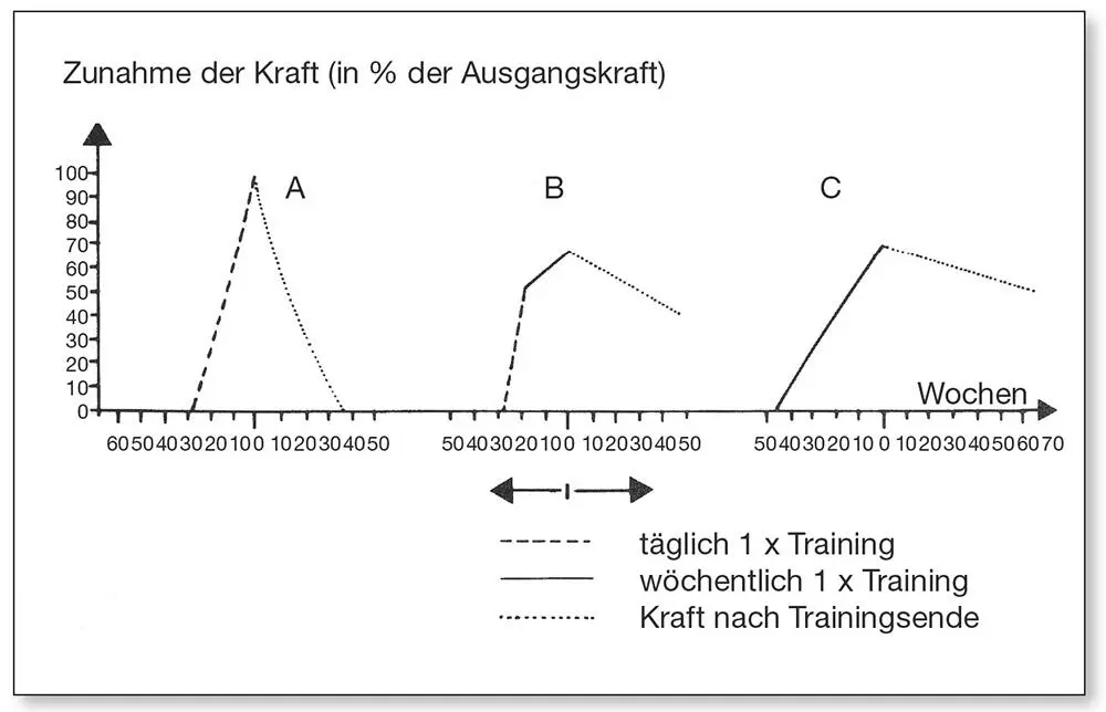 Abb 25Schnelligkeit des Kraftanstiegs in Abhängigkeit von der - фото 24
