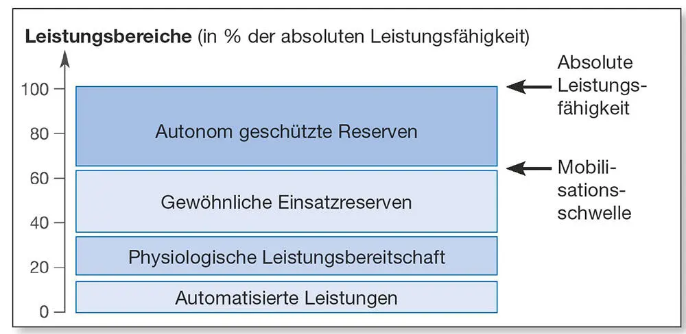 Abb 24Schema der Leistungsbereiche Weineck 2019 Praxisbeispiel - фото 23