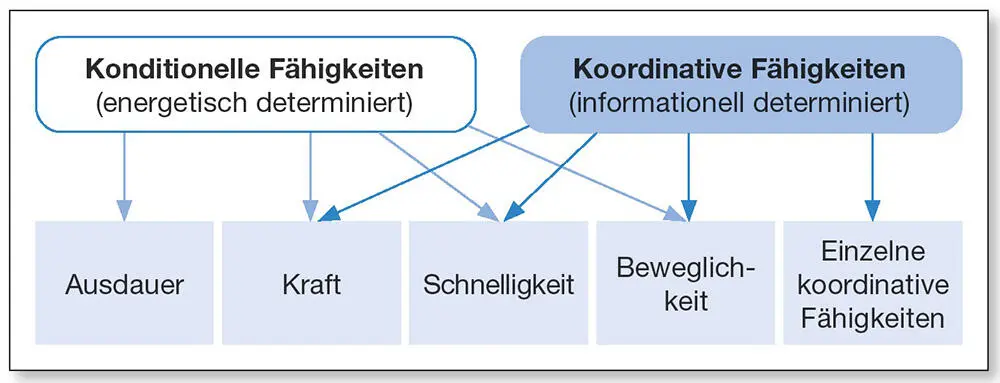 Abb 15Die Systematik der Leistungskomponenten Kondition und Koordination - фото 10