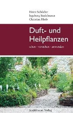 Ingeborg Stadelmann Duft- und Heilpflanzen обложка книги