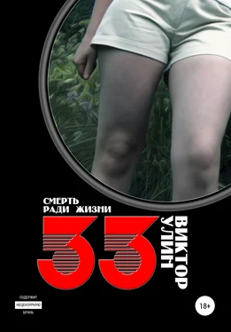 Виктор Улин 33 обложка книги
