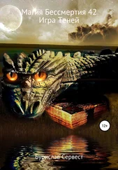 Бурислав Сервест - Магия Бессмертия 42. Игра Теней