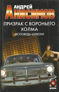 Андрей Анисимов Исповедь шлюхи обложка книги