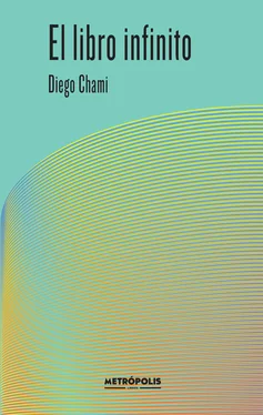 Diego Chami El libro infinito обложка книги